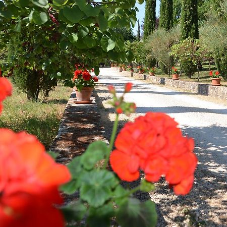 Casale Santa Caterina Apart otel Amelia Dış mekan fotoğraf