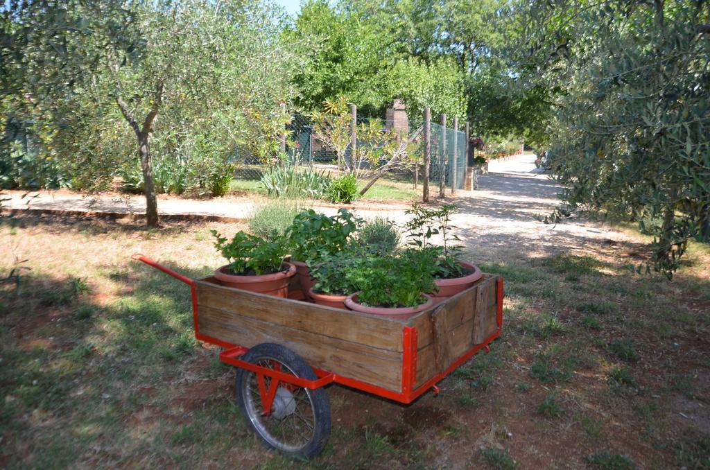 Casale Santa Caterina Apart otel Amelia Dış mekan fotoğraf