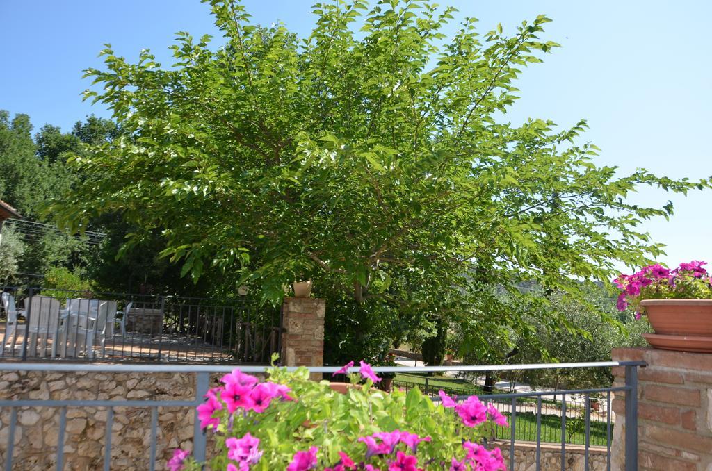 Casale Santa Caterina Apart otel Amelia Dış mekan fotoğraf