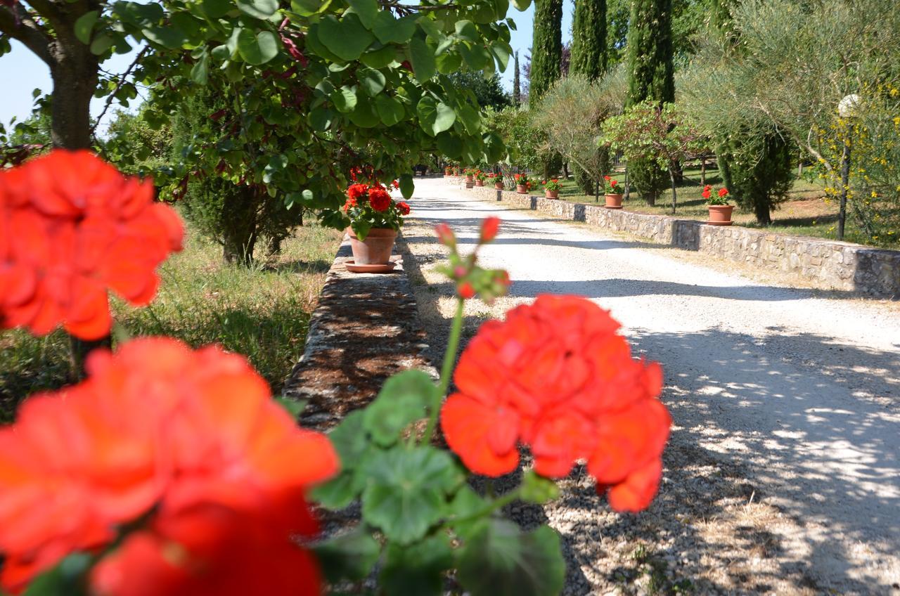 Casale Santa Caterina Apart otel Amelia Dış mekan fotoğraf